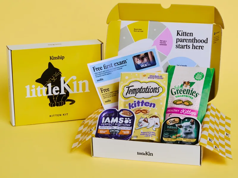 Kitten Kit box open with full contents displayed